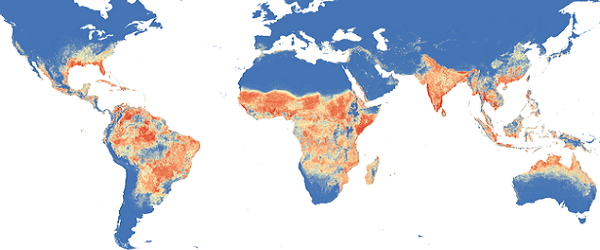 Карта распространения Aedes aegypti