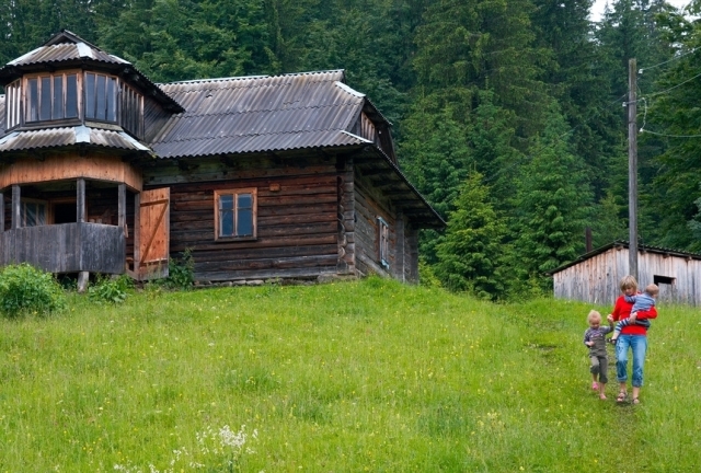 Закон о «лесной амнистии» принят