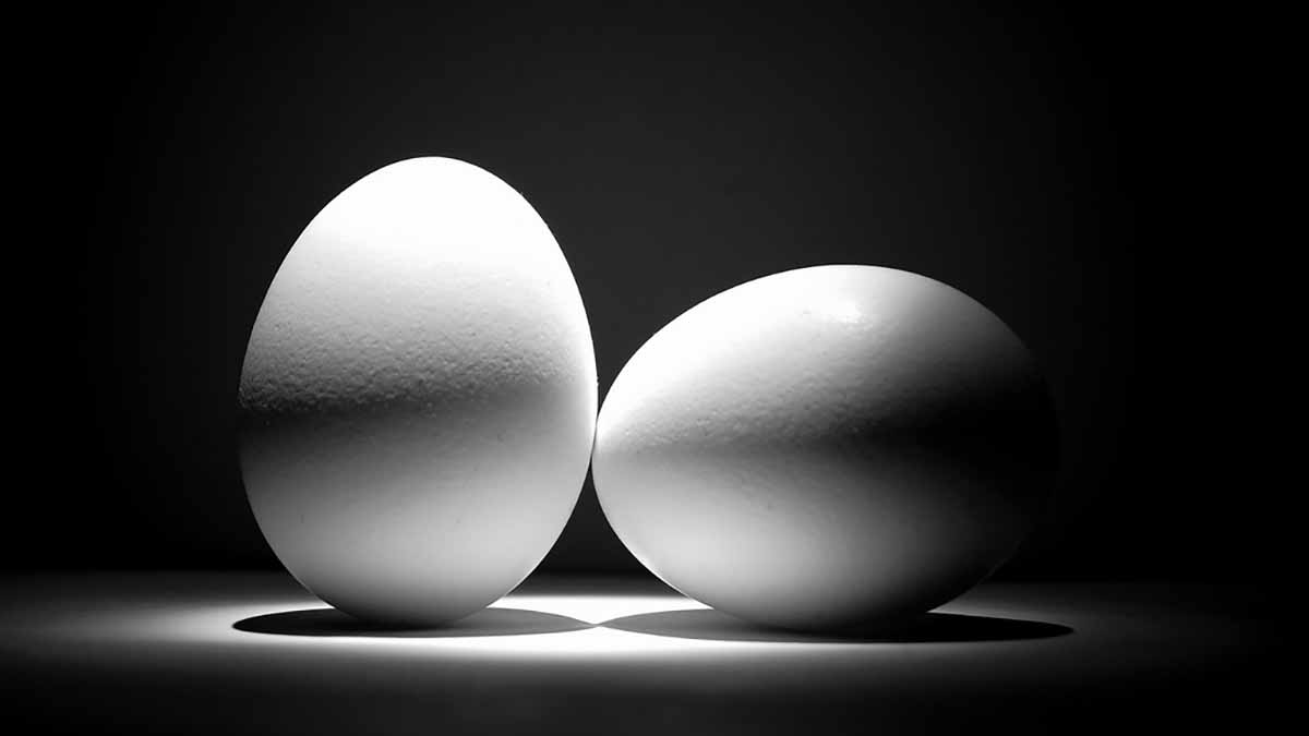 Куриные или перепелиные? Стало известно, какие яйца полезнее для организма