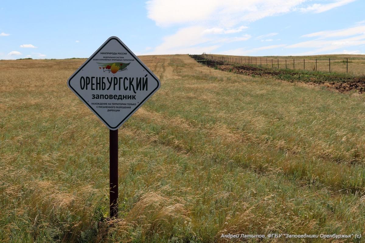 Презентация на тему оренбургский заповедник