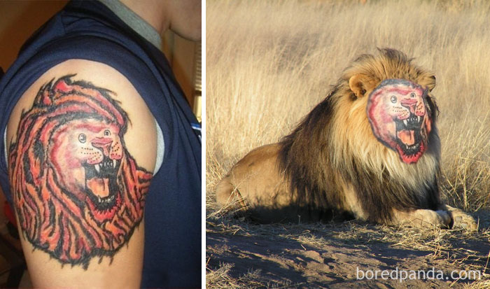 funny-tattoo-fails-face-swaps-comparisons-37-57b183215d119__700