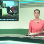 Оренбург бьёт рекорды по количеству детей пострадавших в ДТП.
