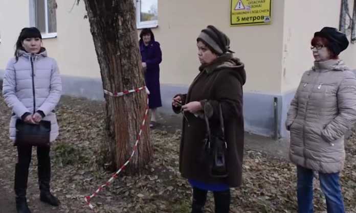 Полиция отказала в возбуждении уголовного дела за "казнь" кошки в Оренбурге Полиция отказала в возбуждении уголовного дела за "казнь" кошки в Оренбурге