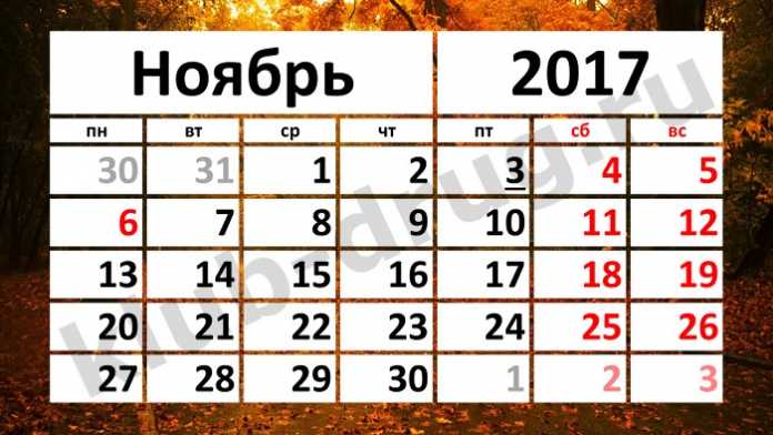 Как отдыхаем в ноябре: выходные 4 ноября 2017