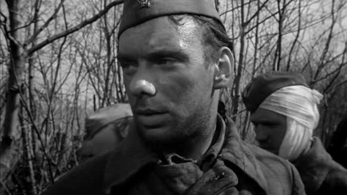 фильм «Летят журавли» фильм «Летят журавли»