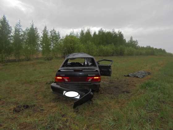 В ДТП под Оренбургом погибли пассажир автомобиля и лось