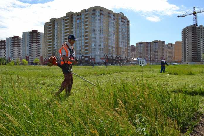 В Южном округе определили лучших газонокосильщиков