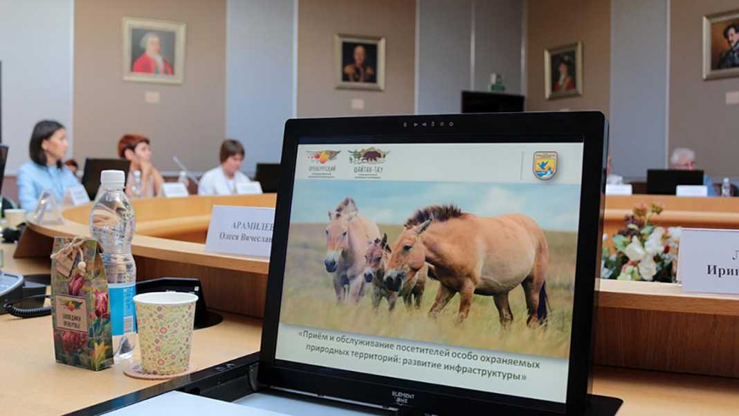 Эксперты в области охраны животных из США, посетили в Оренбурге семинар