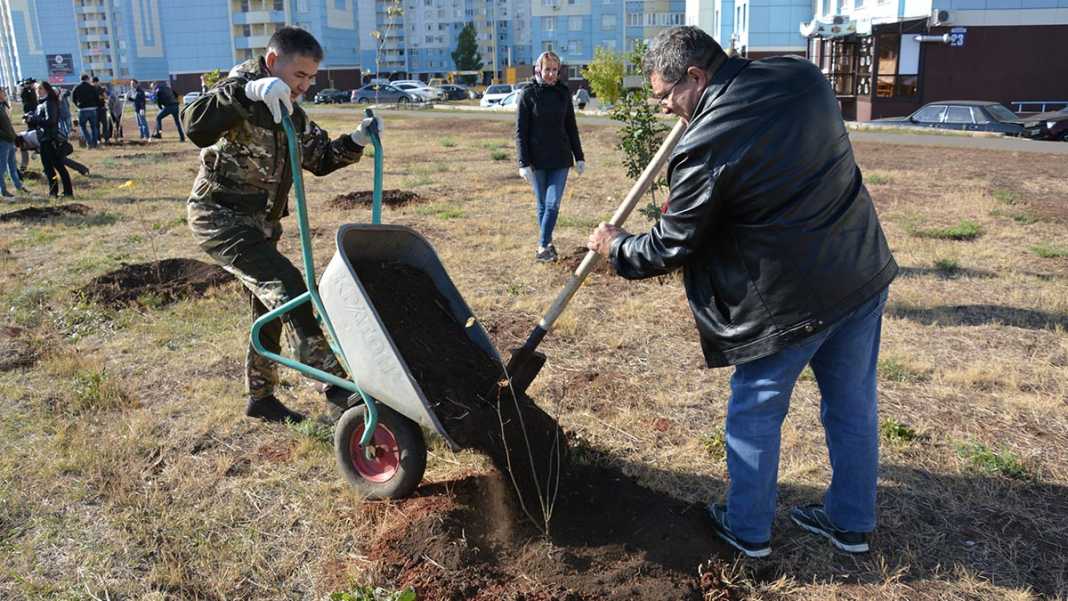 Городские депутаты вышли на субботник