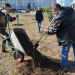 Городские депутаты вышли на субботник