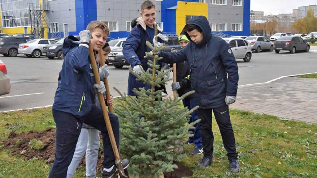 первенство по дзюдо среди юношей