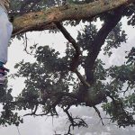 Бузулукские спасатели сняли с дерева мальчика