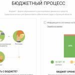 Бюджетный процесс в Оренбуржье переходит к цифровой экономике