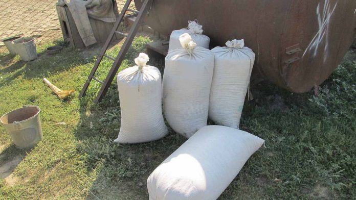 Жителя Первомайского района подозревают в краже 17 мешков зерна