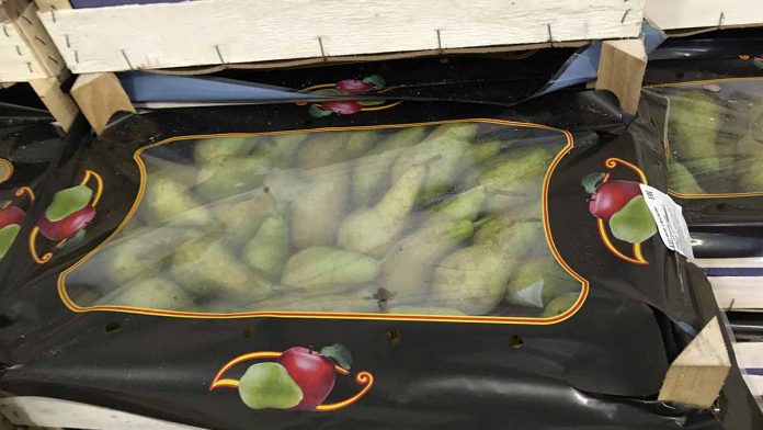 В Оренбурге выявлено 143 килограмма запрещенных польских груш