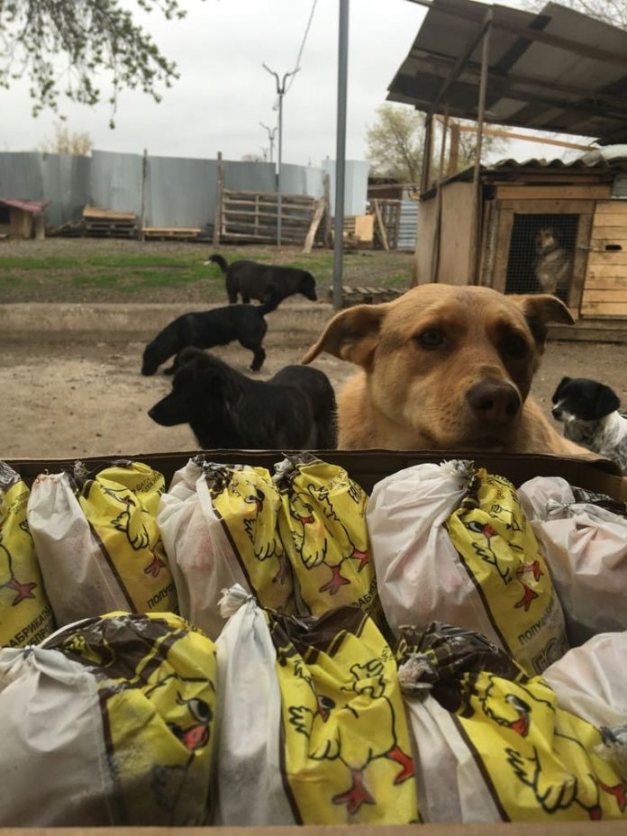 «Птицефабрика Оренбургская» передала субпродукты в приюты для животных «Птицефабрика Оренбургская» передала субпродукты в приюты для животных