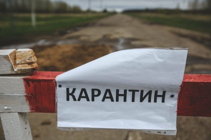 карантин
