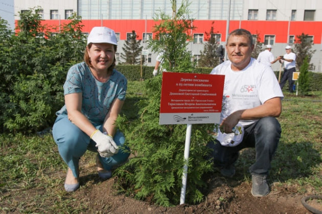 высадка деревьев на Аллее металлургов