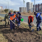 Тюльпаны на улице Рокоссовского в Оренбурге