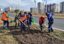 Тюльпаны на улице Рокоссовского в Оренбурге