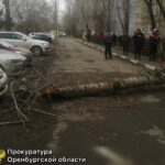 Место инцидента оцеплено для проведения следственных действий.