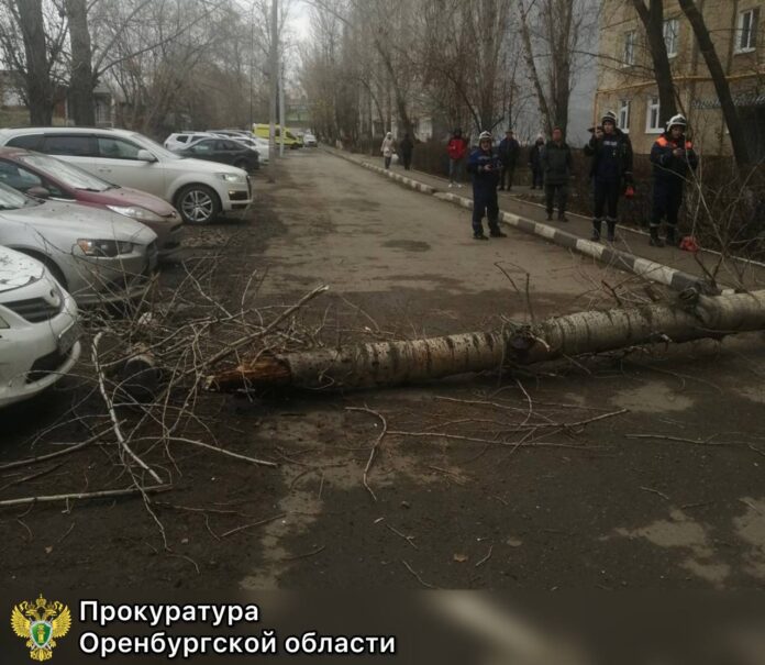 Место инцидента оцеплено для проведения следственных действий.