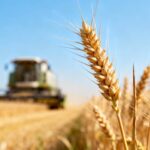 Оренбургские аграрии обновили технику для повышения урожайности