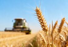 Оренбургские аграрии обновили технику для повышения урожайности