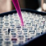 Ученые из Оренбурга запатентовали растительный комплекс с эффектом синергии Лаборант исследует растительное сырье, новый антиоксидант от ОрГМУ в разработке