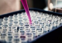 Ученые из Оренбурга запатентовали растительный комплекс с эффектом синергии Лаборант исследует растительное сырье, новый антиоксидант от ОрГМУ в разработке