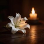 Скончался атлет Никита Бачин некролог