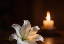 Скончался атлет Никита Бачин некролог