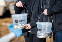 Уральская Сталь в восьмой раз провела зарыбление реки Урал Экологическая Акция, Зарыбление Водоёмов